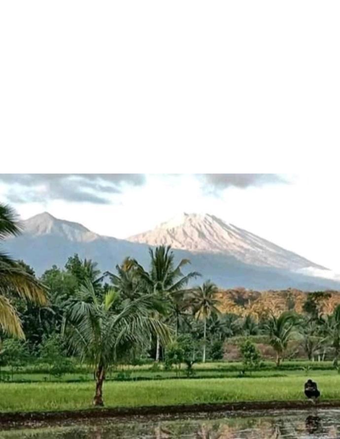 Eltari Homestay 特特巴图 外观 照片