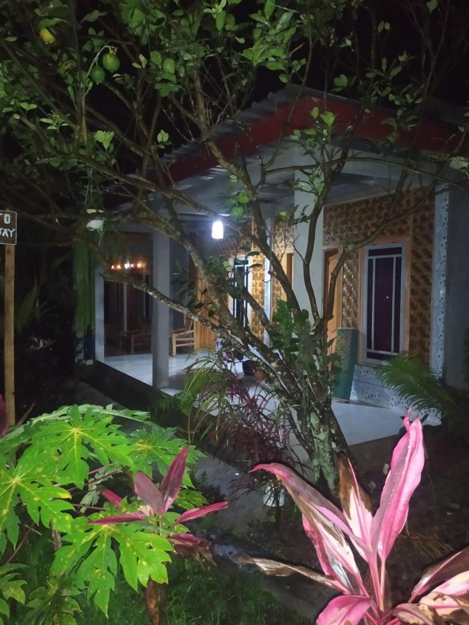 Eltari Homestay 特特巴图 外观 照片