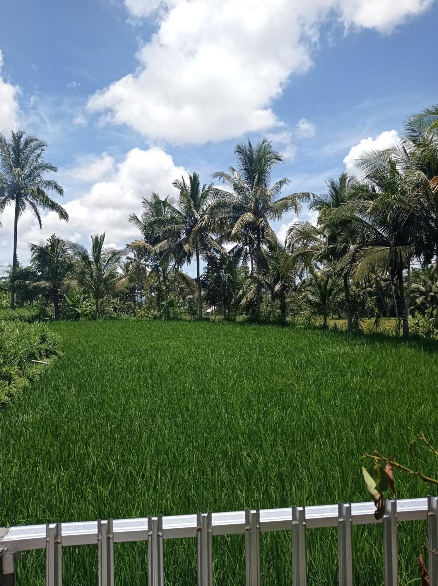Eltari Homestay 特特巴图 外观 照片